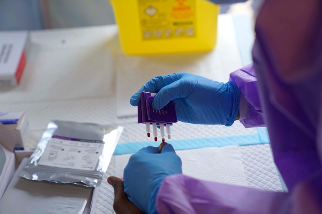 Top health expert warns Ebola could 'spread globally like Covid'