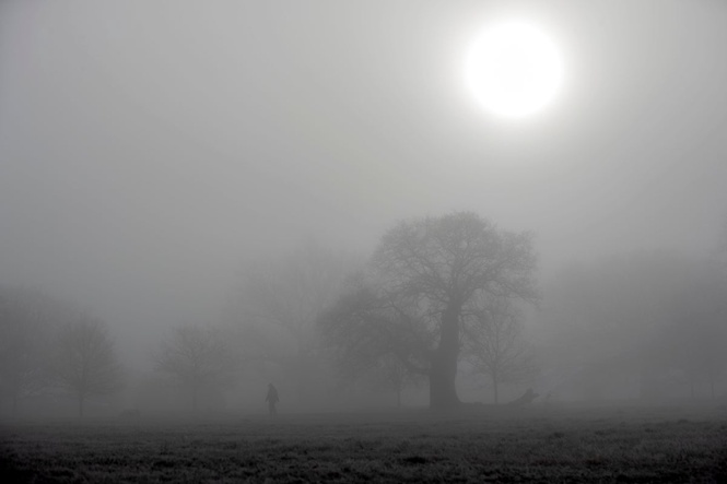 Met Office gives warning to drivers as ‘dense’ fog to settle over parts of the UK