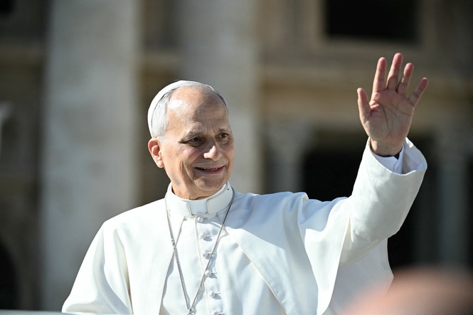 Pope Leo reportedly requests an absentee ballot for US midterms