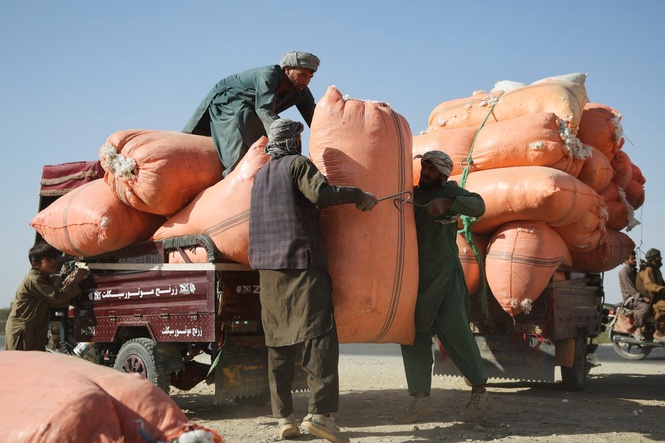 Trump plans mass deportation of Afghans facing grave risk from Taliban ...