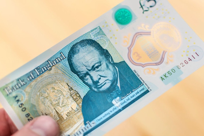 Winston Churchill dropped for wildlife drawings on new bank notes