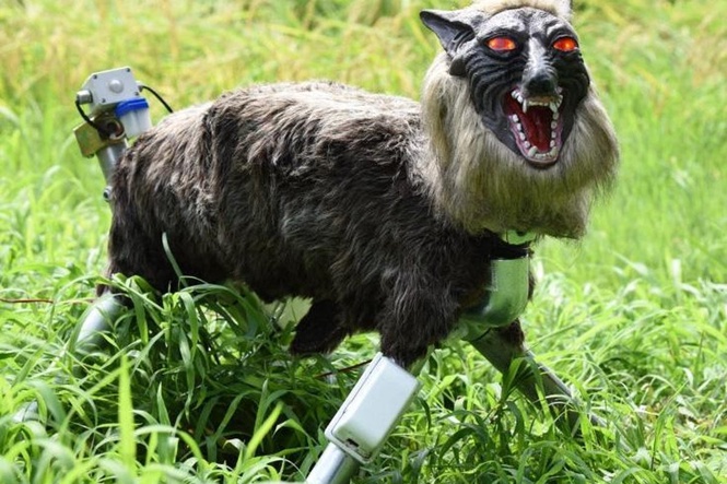 Japan’s robot wolf sells out as record bear attacks drive demand: ‘We cannot make them fast enough’