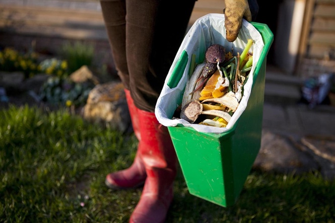 What to put in your compost bin – and five things to always leave out