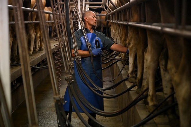 New Zealand Survey Finds “Strong Belonging” Among Resettled Refugees