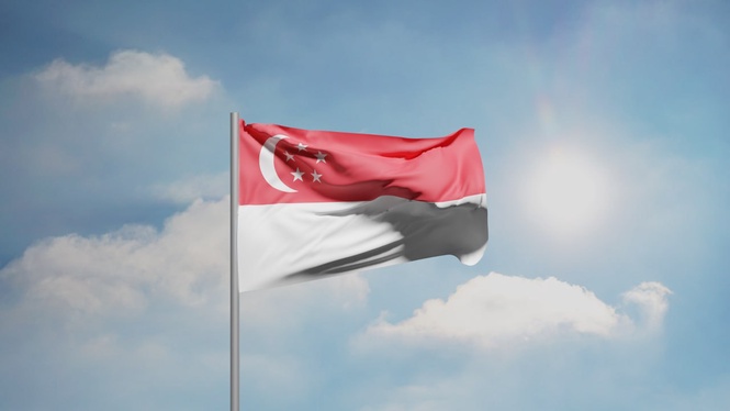 Singapore To Block VEP Renewals For Foreign Vehicles With Unpaid Fines From Nov 2