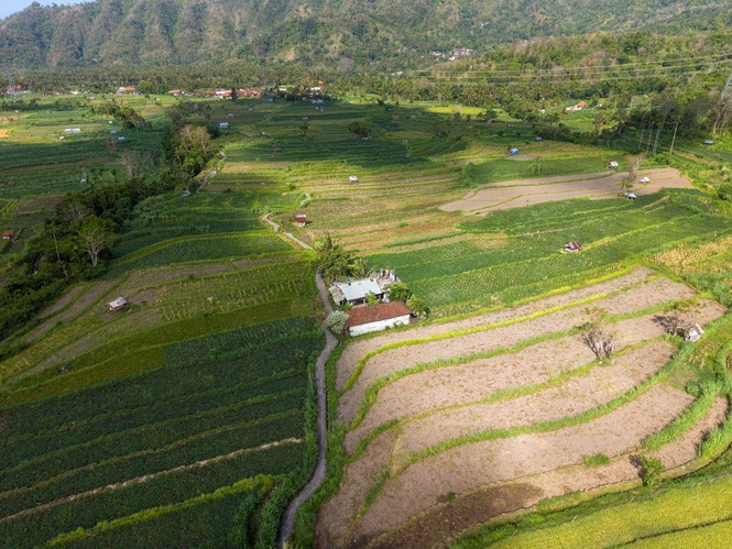Bali’s Foreign Arrivals Rebound 17.21% in April: BPS