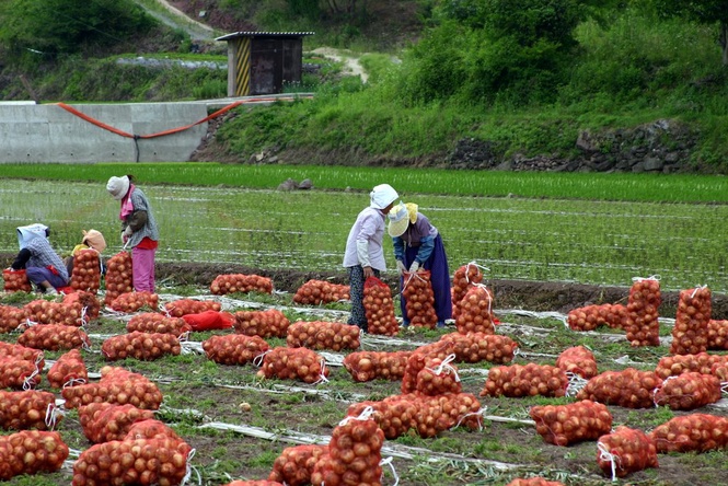 South Korea Starts Seasonal Worker Rights Checks Nationwide
