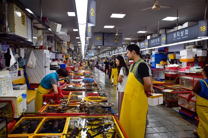 Migrant Ministry: 1,063 Indonesians Take Korea Fishery Skill Test