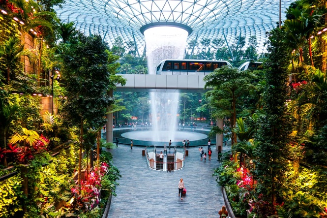 Singapore Arrival Card To Add Seven Languages, Refresh User Interface