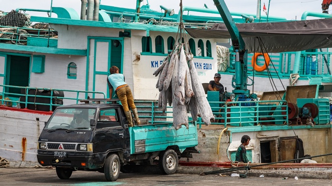 Indonesia Presses ASEAN for Mandatory Safety Net as Migrant Crisis Risks Mount