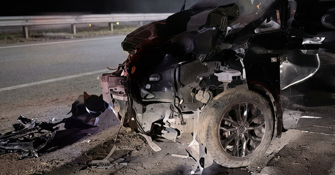 Rakaman papan pemuka menunjukkan sekumpulan gajah melintas di LPT2 sebelum MPV terbabit kemalangan berhampiran Exit Cheneh, Kemaman.