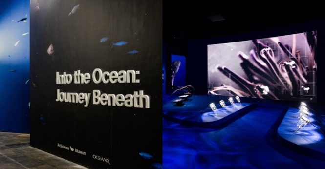 Image from: ArtScience Museum And OceanX Unlock Extraordinary Underwater Worlds That Few Have Seen