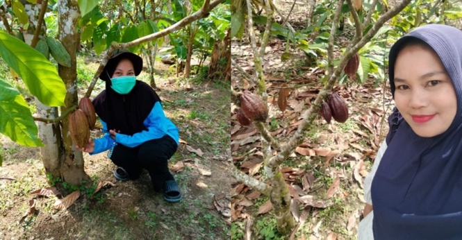 Image from: Behind Premium Chocolate, a Fight to Keep Cacao Worth Growing