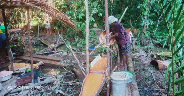 Image from: Why Sago Could Be the Next Sustainable Superfood