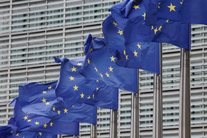 Image from: EU lawmakers can now vote by proxy on maternity leave