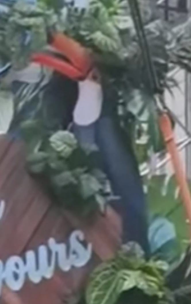 Image from: Bukit Bintang food market decoration error: Toucan mistaken for Malaysian hornbill