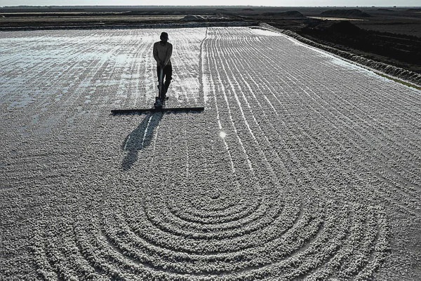 Image from: No trees, no fans: Surviving extreme heat in India’s salt pans