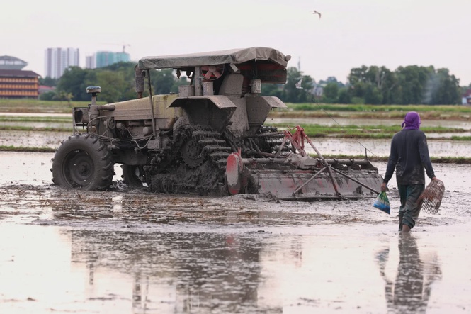 Image from: Subsidised diesel fleet card for 17,000 farm providers tabled to MTEN