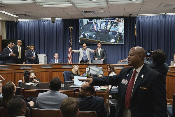 Image from: Louisiana Republicans move to erase Black House district