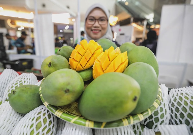 Image from: Why Harumanis mangoes are set to become Malaysia’s next global ‘gold’