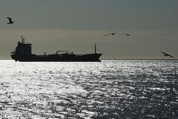 Image from: Some 1,500 ships trapped in Gulf due to Iran conflict