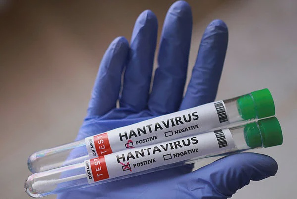 Image from: WHO warns of more hantavirus cases in limited outbreak