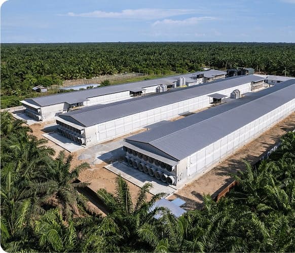 Image from: Farmiera reports RM167.20m revenue for Q1 FY26, declares maiden dividend of 0.50 sen