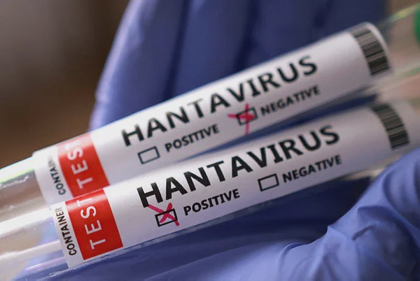 Image from: Malaysia on high alert as hantavirus threat rises