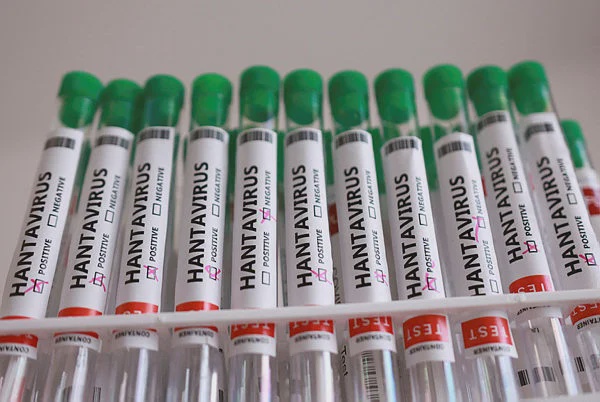 Image from: Dane who travelled on hantavirus ship goes into self-quarantine