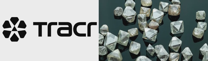 Image from: GIA acquires 30% shareholding in diamond provenance blockchain platform Tracr