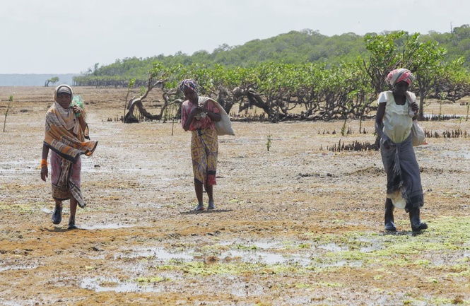 Image from: Extreme weather in Africa hits 13 million in 2025