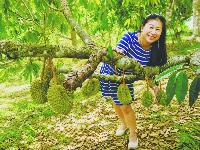Image from: How a Penang family’s orchard became a living archive of memories