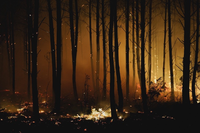 Image from: Wildfires force thousands to flee across southern Europe