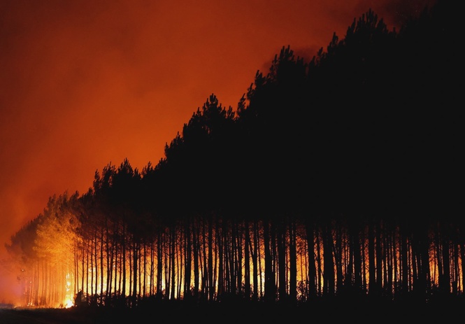 Image from: France evacuates thousands as wildfire rages in pine forest
