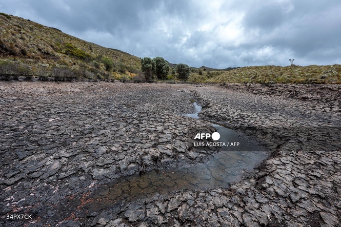 Image from: UN warns of strong El Nino developing soon