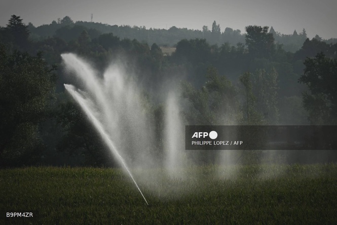 Image from: Belgium deaths spiked more than estimated in June heatwave