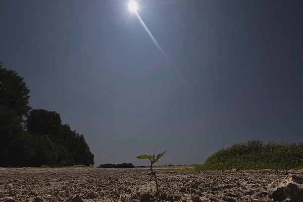 Image from: Will heatwaves push European holidaymakers to ‘coolcations’?