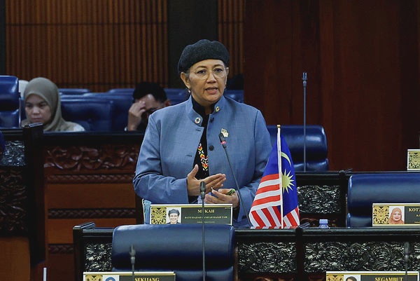 Image from: Sabah to get 560 new permanent doctors from October