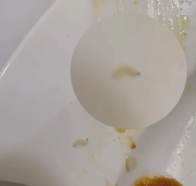 Image from: Malaysian allegedly finds maggot in nasi lemak from popular kopitiam in KL, claims husband fell ill after