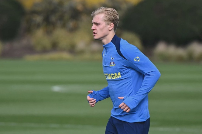 Image from: De Zerbi wants Bergvall at Spurs but can’t promise starting role