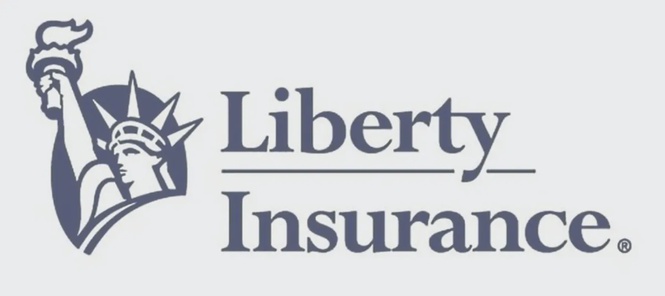 Image from: Liberty’s PA Flex designed to support the way Malaysians live today