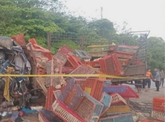 Image from: Three die after lorry carrying chicken crashes into trailer in Tanah Merah