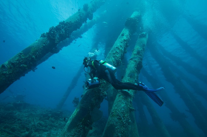 Image from: Microsoft, S’pore Lightstorm to build India-SE Asia undersea cable