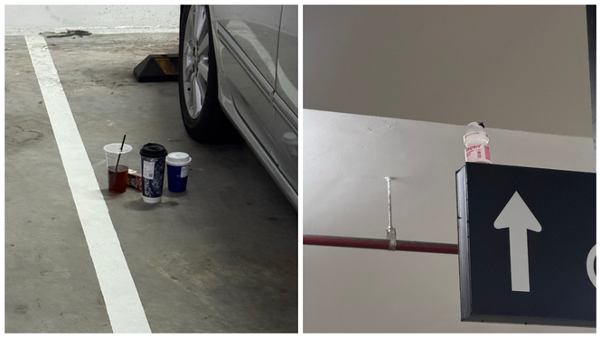 Image from: Online users condemn alleged rubbish dumping outside parked vehicle