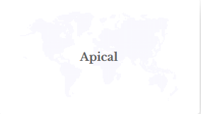 Image from: Apical Strengthens Collaboration to Prevent Stunting Through Nutritious Menu Creation Competition