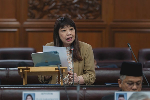Image from: Domestic violence registry under government review