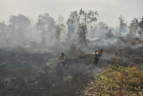 Image from: Fire haze threatens health of millions in Indonesia, ministry warns
