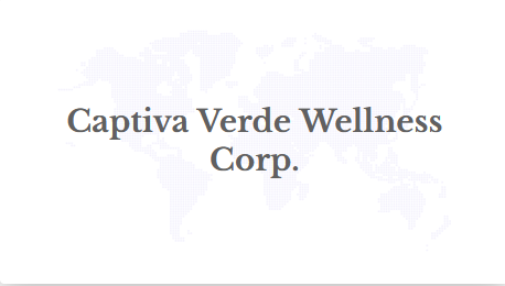 Image from: Captiva Verde Welcomes General Daniel R. Hokanson to the Advisory Board