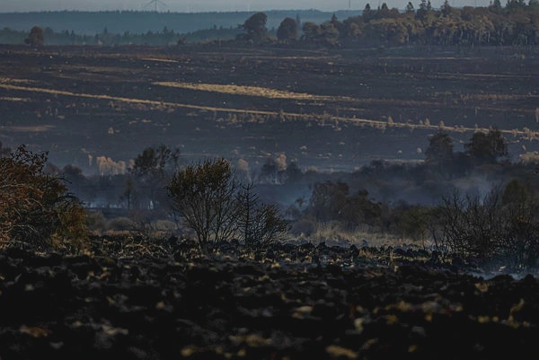 Image from: Belgium’s largest wildfire in a century brought under control
