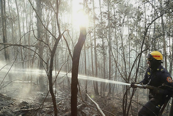 Image from: Forest fire threatens tourist town in Colombian Andes
